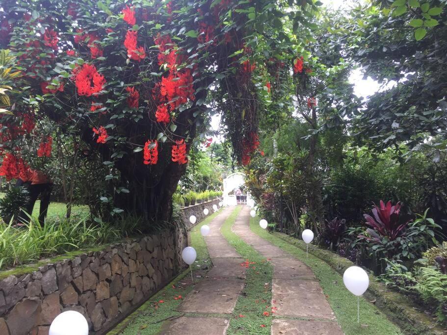 Villa Kuning View Light N Big Garden